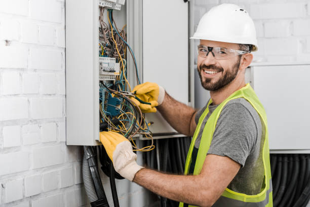 Best Ceiling Fan Installation Electrician  in Trenton, MI