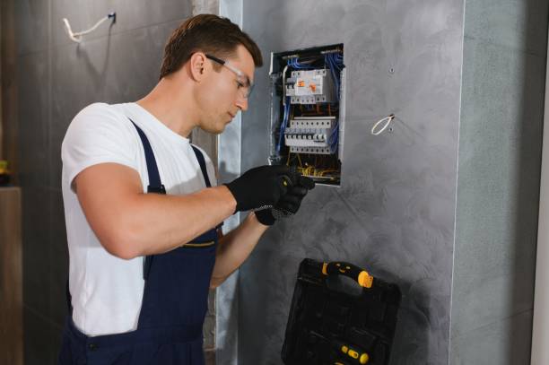 Best Electric Panel Repair  in Trenton, MI