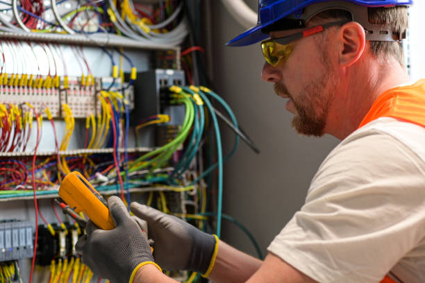 Best Electrical Repair Services  in Trenton, MI