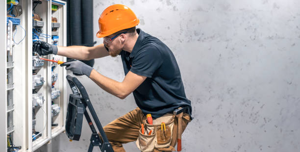 Best Electrical Rewiring Services  in Trenton, MI